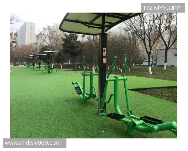 太原体育健身器材市场分析与发展趋势探讨助力健康生活新方式
